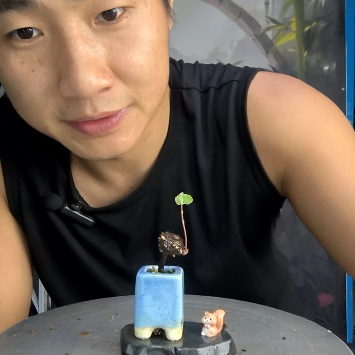 羊*咩中青园艺一物一拍5