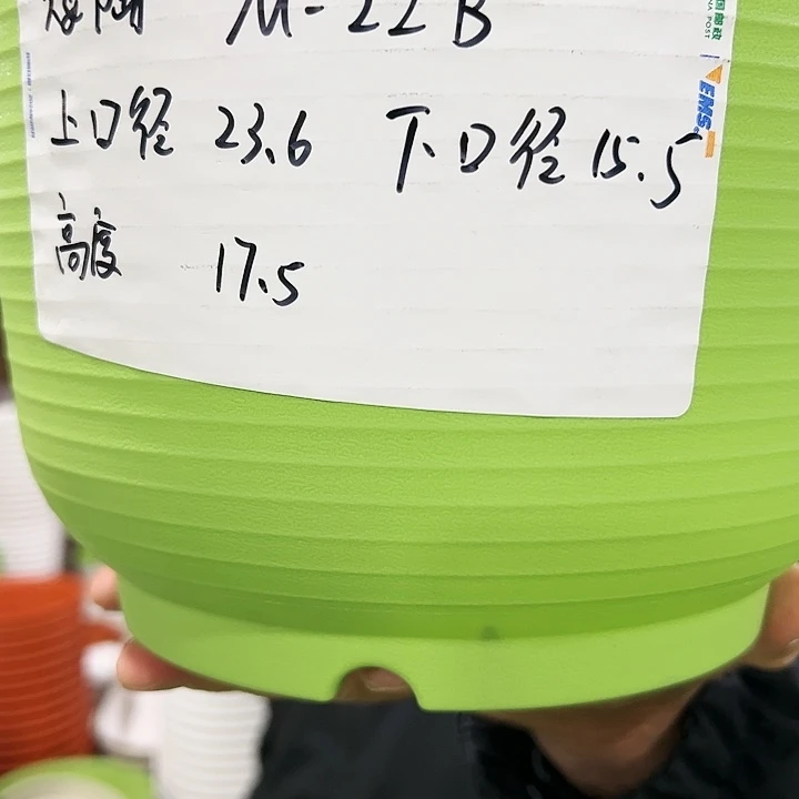 正品矮陶口24高17白色6个无托