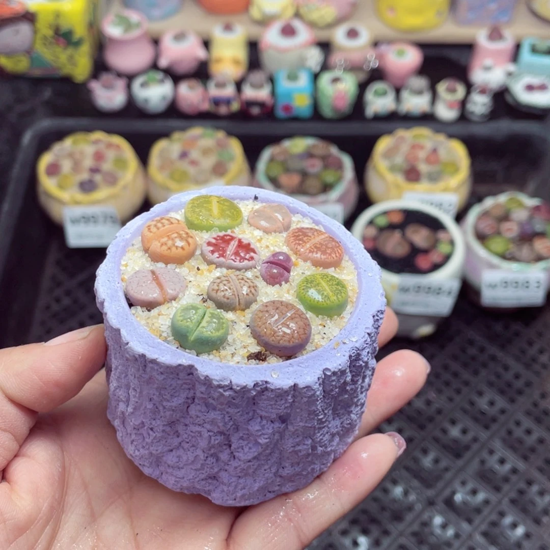 w9987 带盆土发货-零下地区拍保温箱