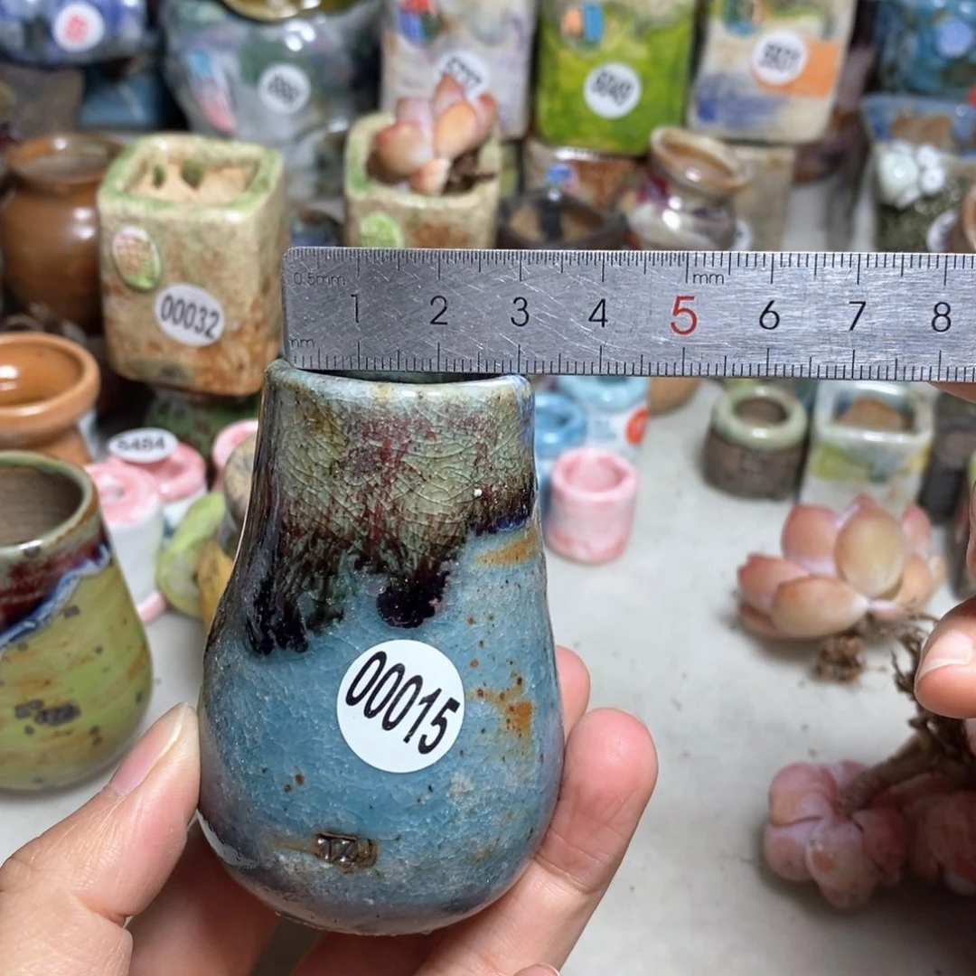 拍5送一个小礼物