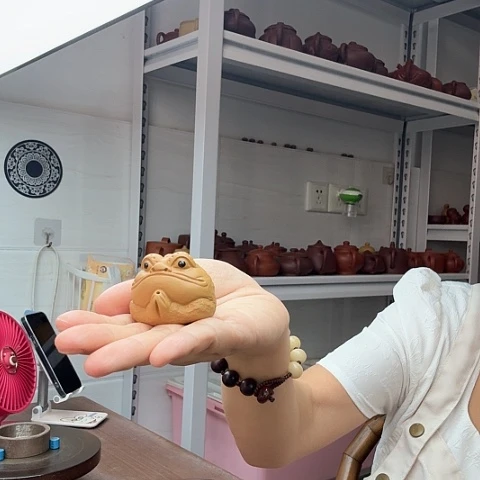 段泥茶案可以插香的金蟾茶宠