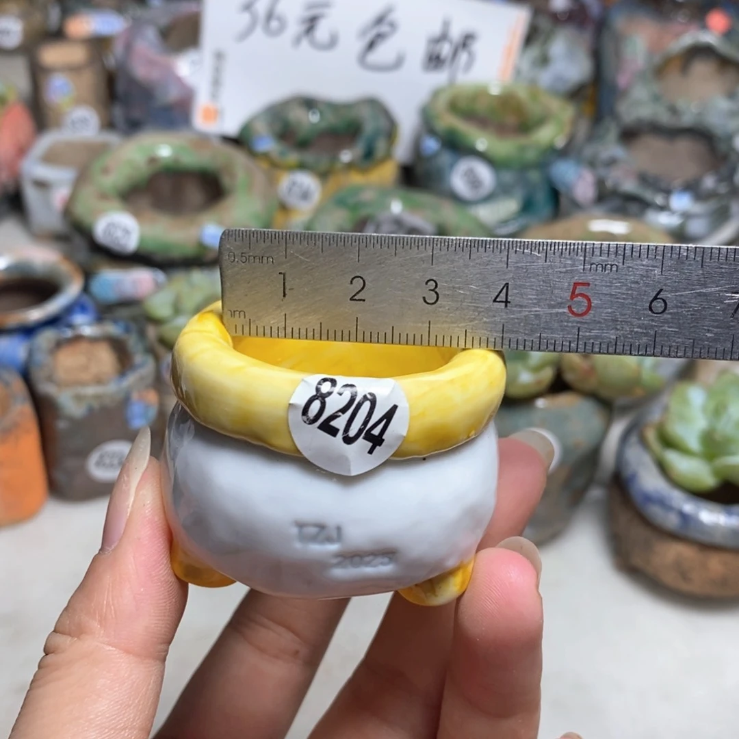 拍3送一个小礼物