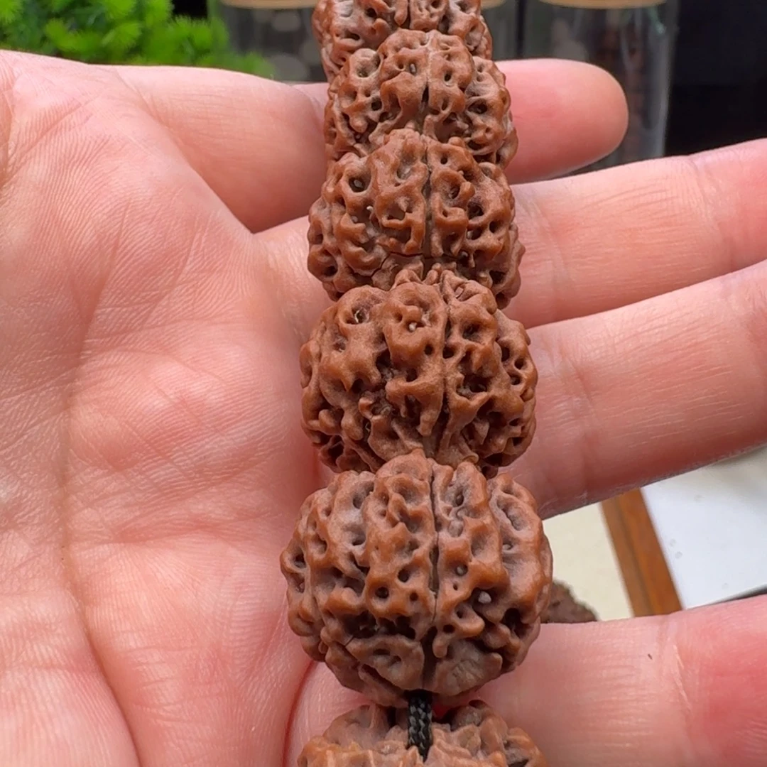 手串金刚菩提蜂窝双龙