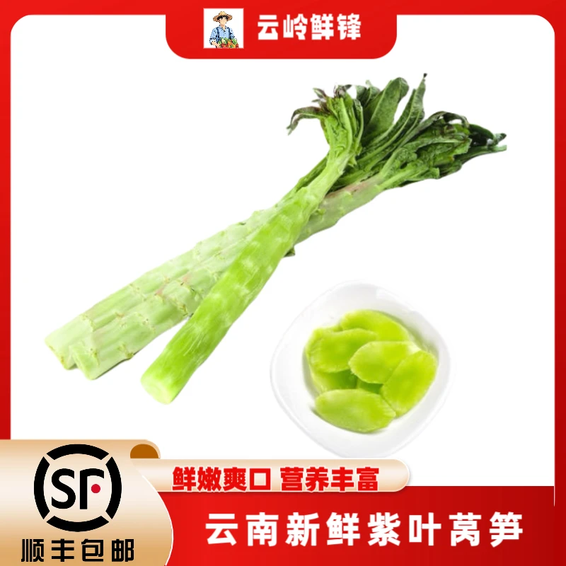 顺丰包邮云南莴笋新鲜绿心莴笋香笋紫叶莴笋绿心青笋