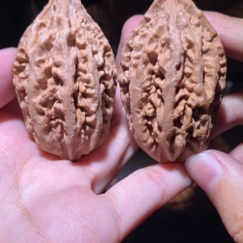 把件文玩核桃东北野生楸子小园 173