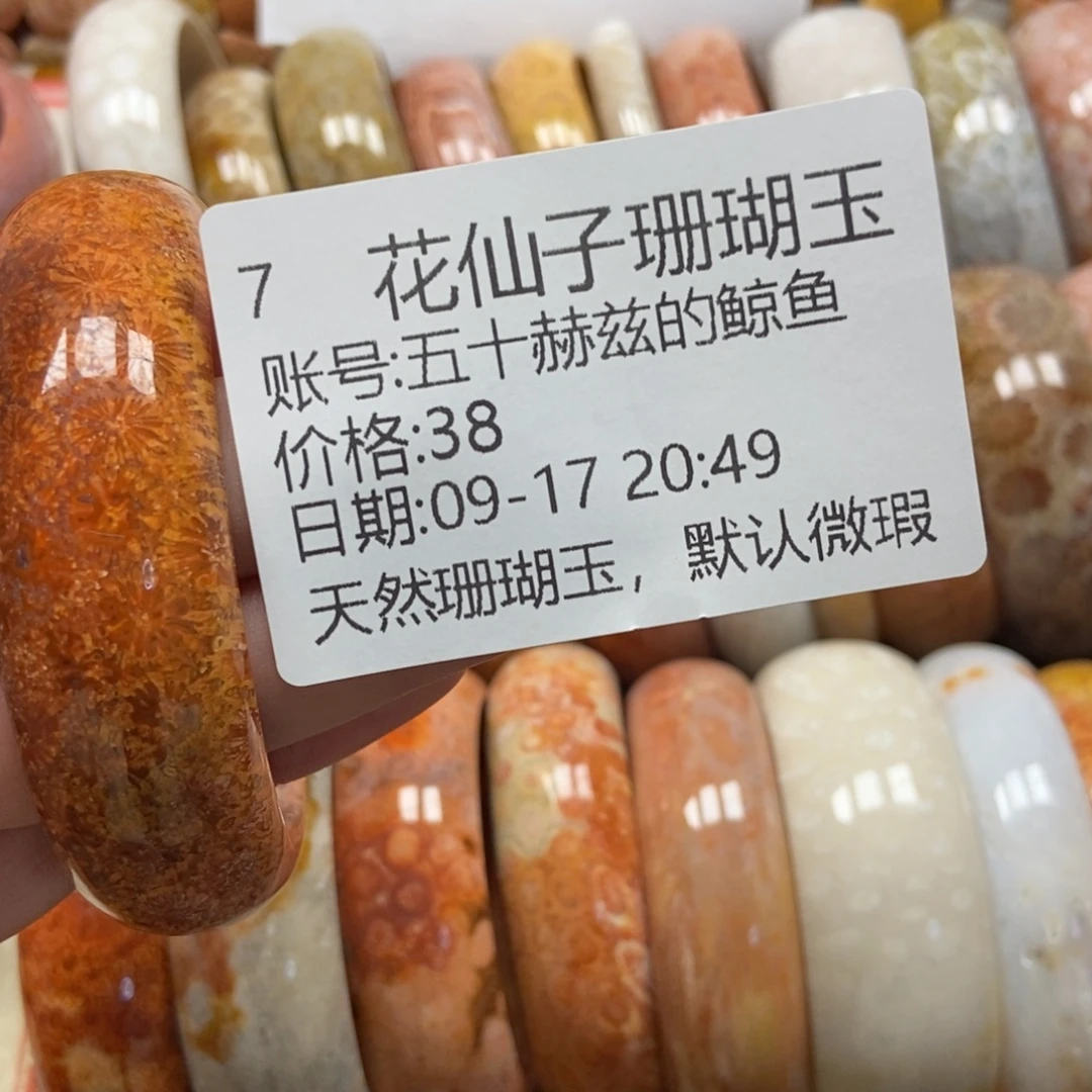 五***鱼未镶嵌硅化珊瑚（珊瑚玉）珠宝半成品7