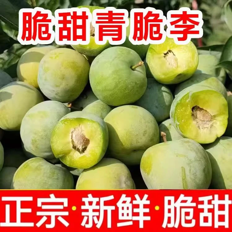 正宗四川脱骨青脆李当季新鲜水果
