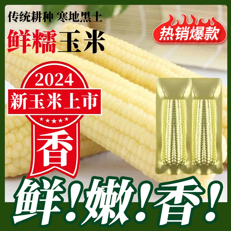 东北白糯玉米.金铝箔包装280-320软糯香甜玉米整箱10支