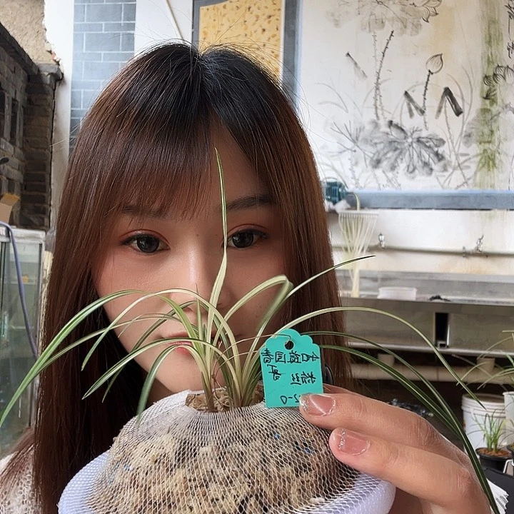 完全开放一物一拍