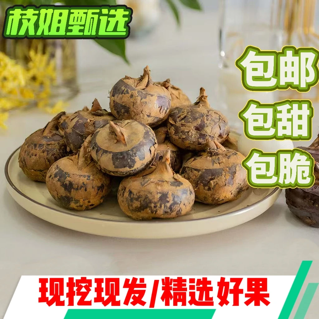 安徽无为马蹄特大果特惠款带泥锁鲜发货