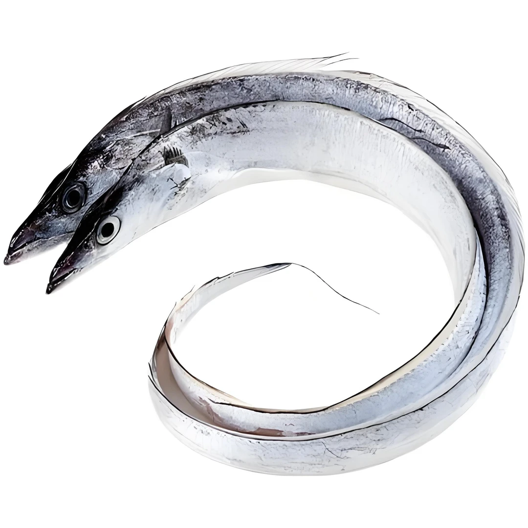 整条冷冻带鱼无冰衣带鱼同城送