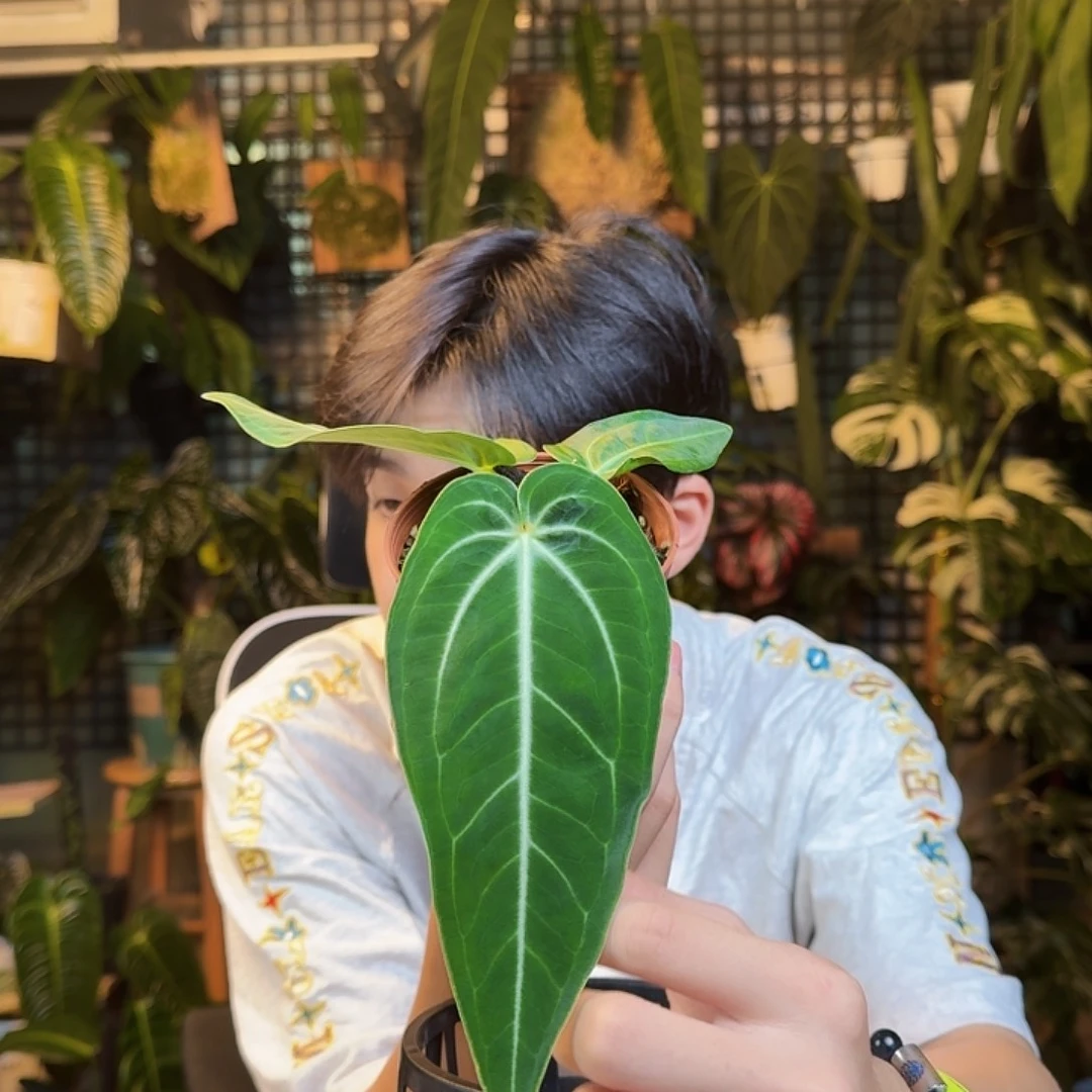 泡***～完全开放一物一拍I120