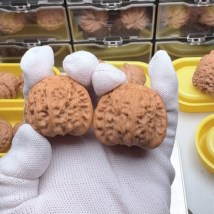 把件文玩核桃白狮子