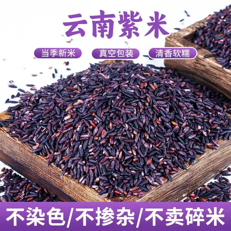 云南紫米新米云南特产紫米早餐粥米饭滋补食材颗粒饱满五谷杂粮包