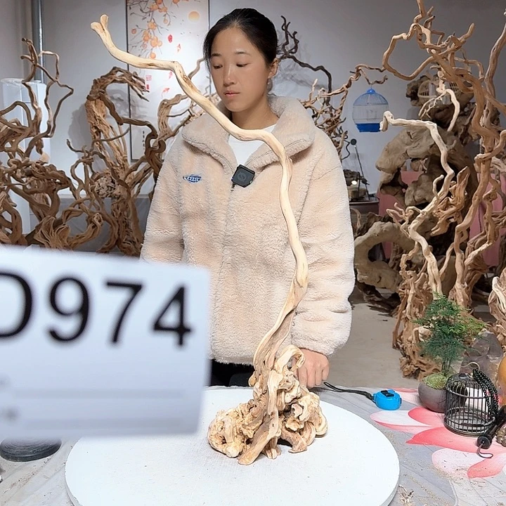 风车木（黑檀木）杰*