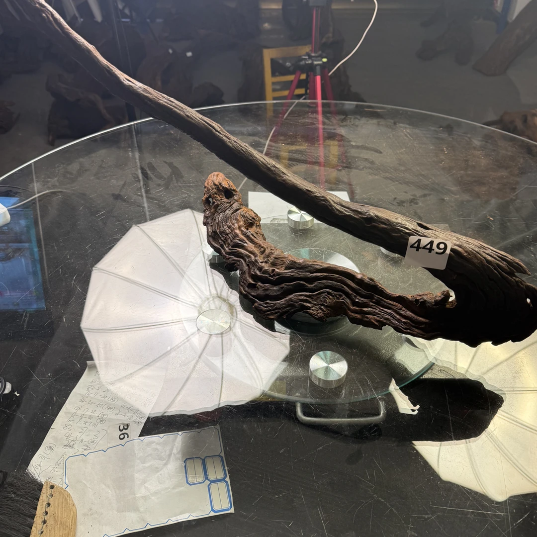 沉木云南紫柚木秒沉449