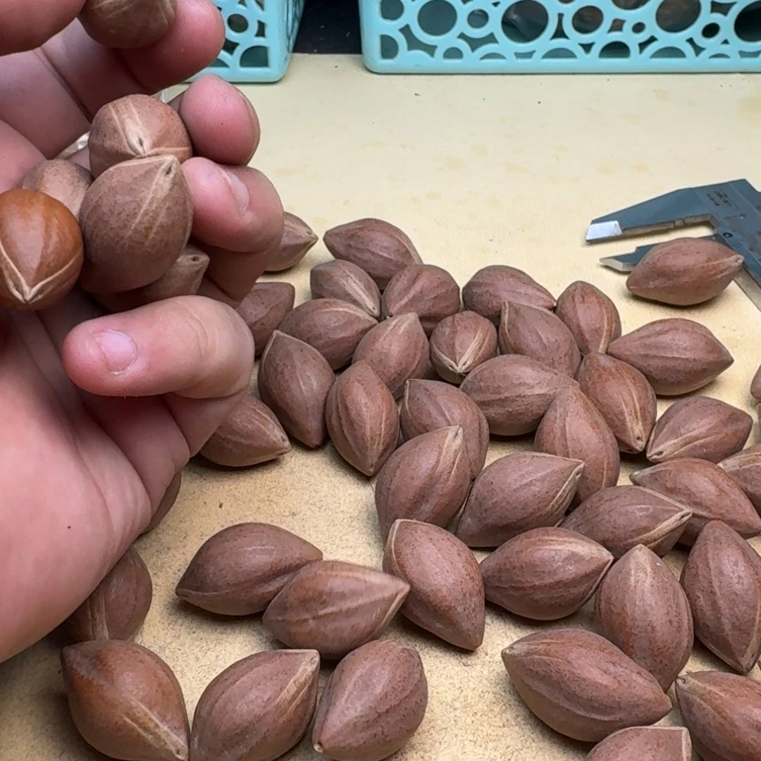 不***费橄榄核手串/手链1