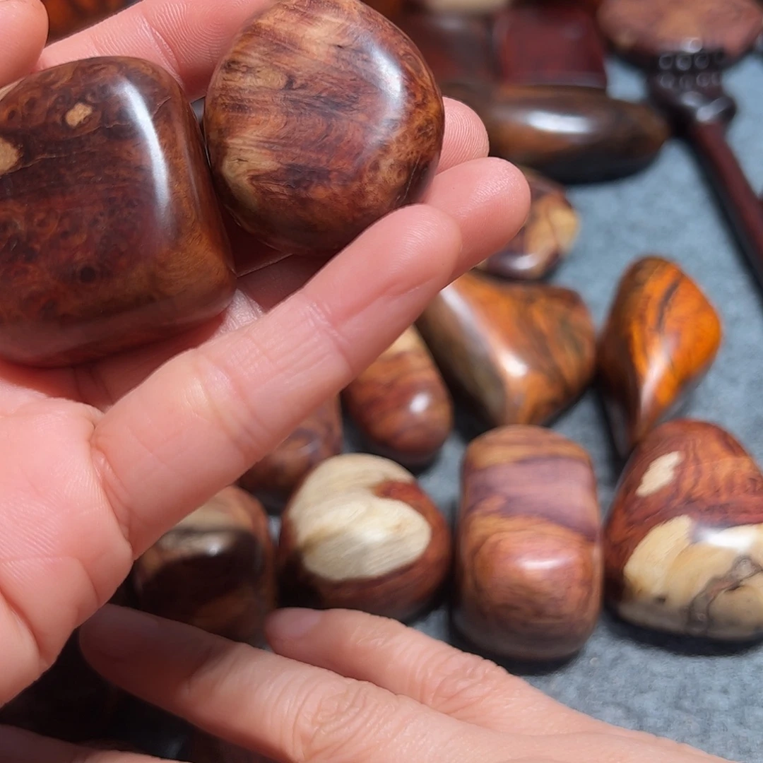 可***乐染料紫檀（血檀）赞比亚