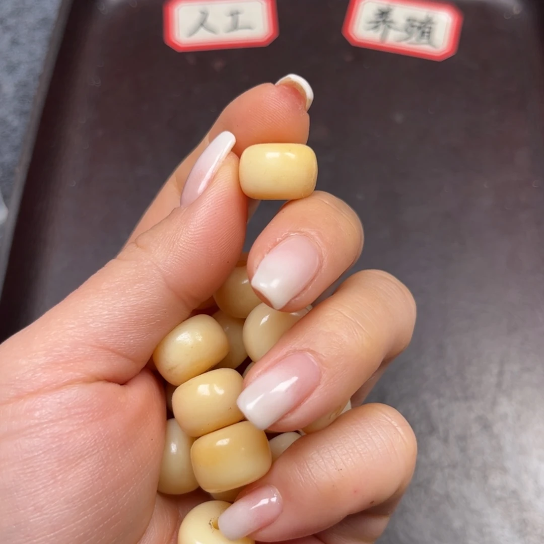 手串/手链驼骨编号2尺寸1.4