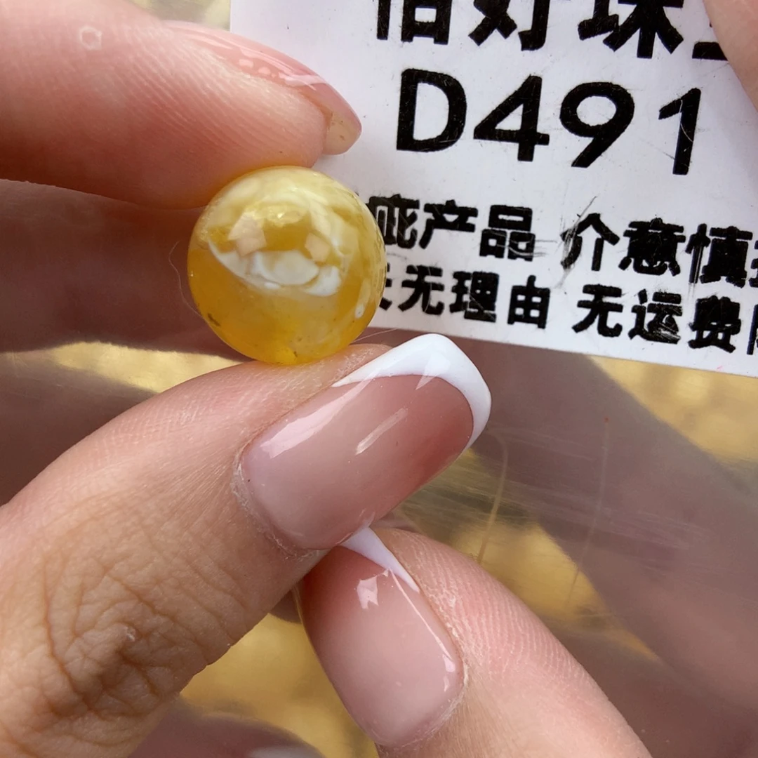 琥珀未镶嵌珠宝奇石13.3植物