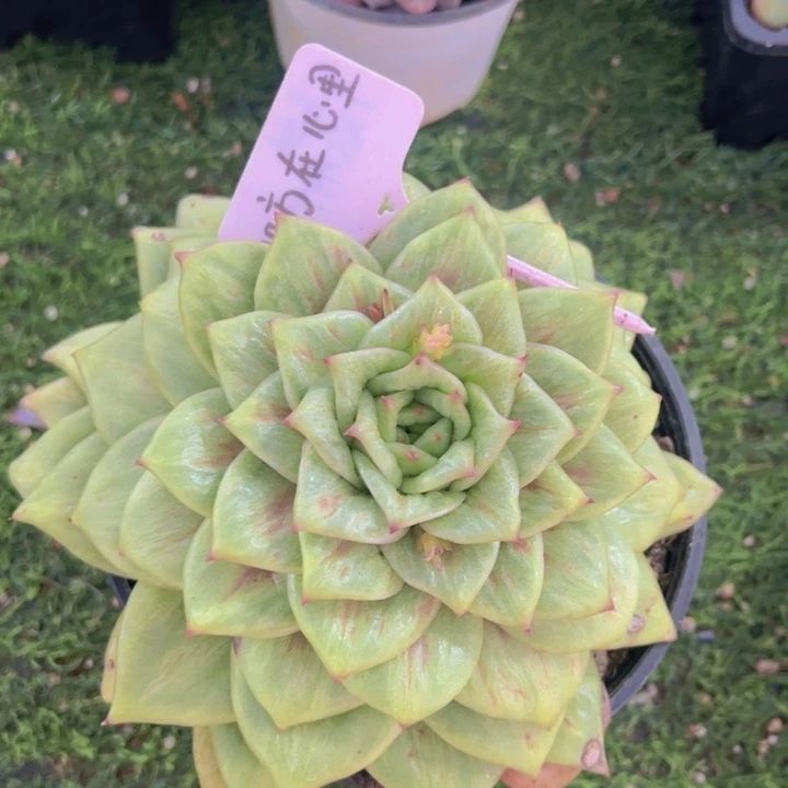 健健康康平平安安