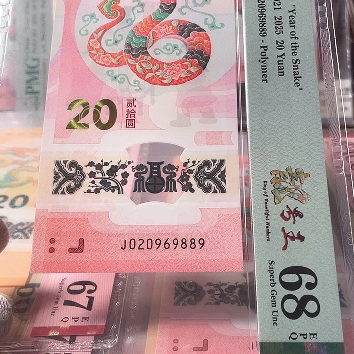 塑料龙珠 020969889