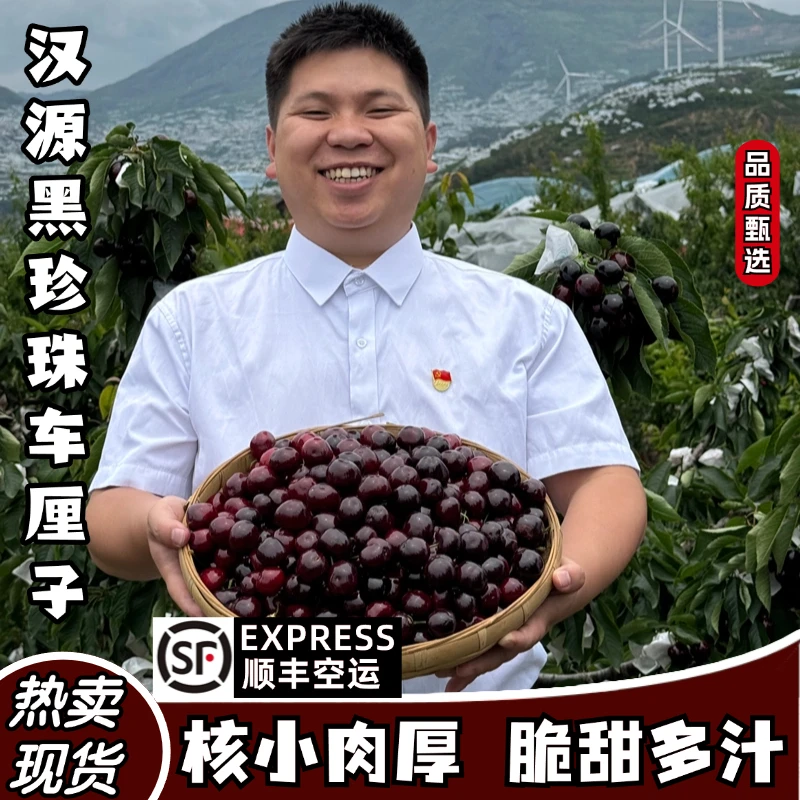 【顺丰·空运】正宗四川汉源黑珍珠车厘子新鲜现采大樱桃坏果包赔