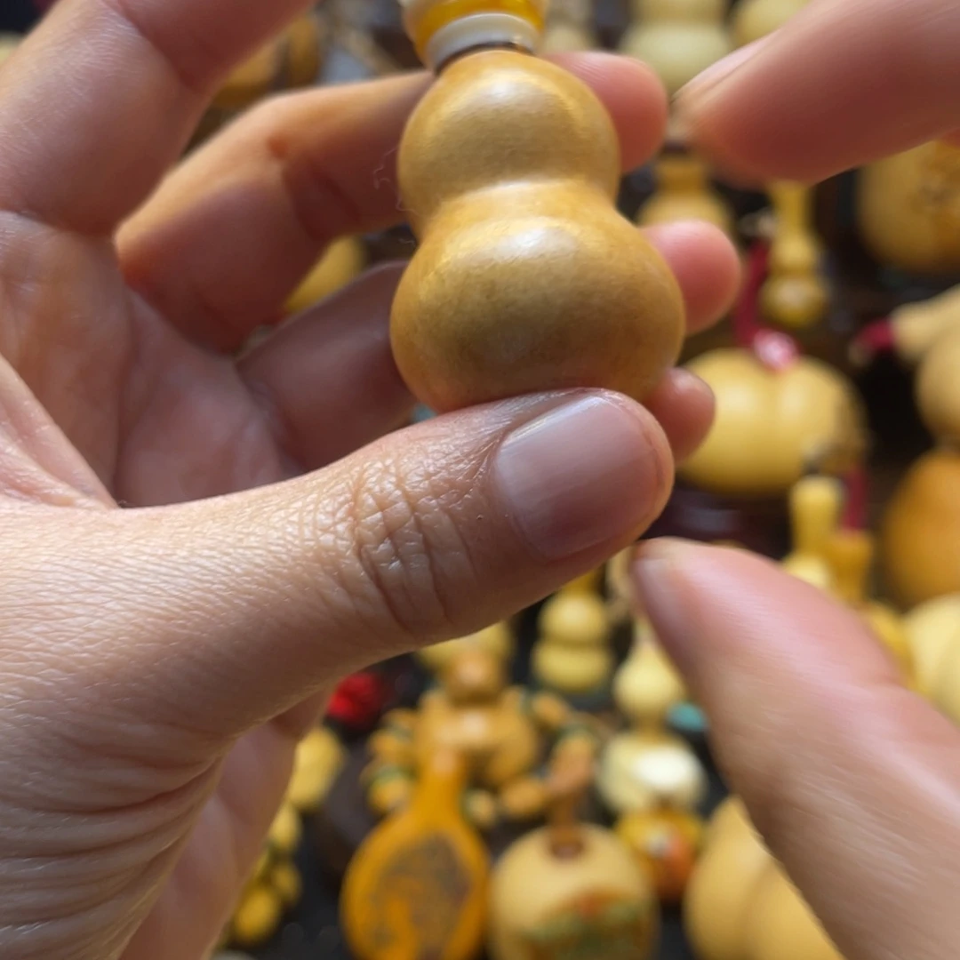 紫***5葫芦等经济林木的分布情况及其影响