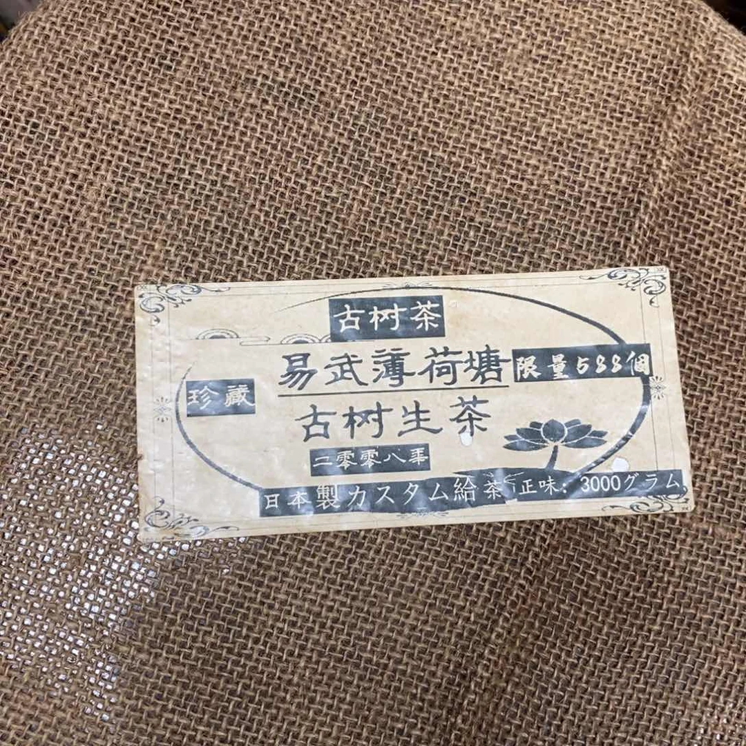 紫砂啦啦啦啦啦啦啦
