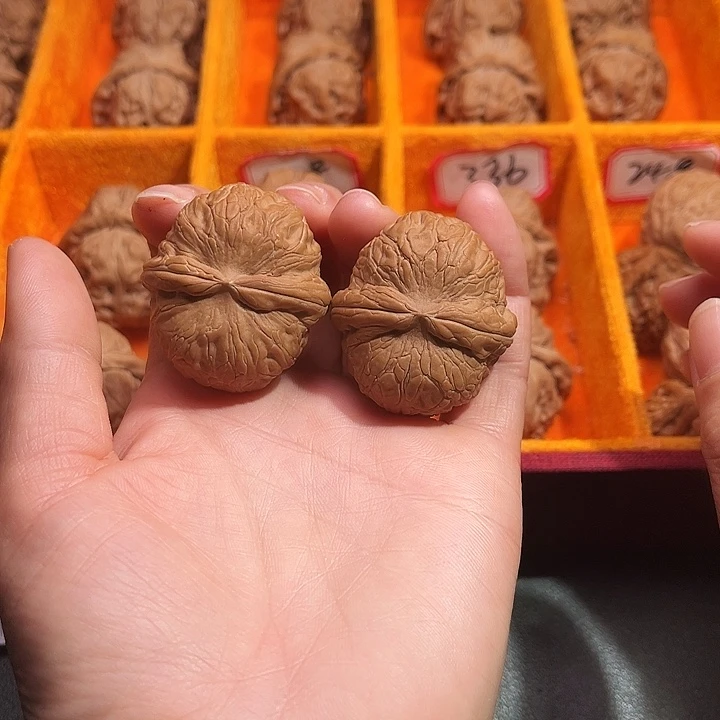 核桃涞水山地果元宝40尺全品