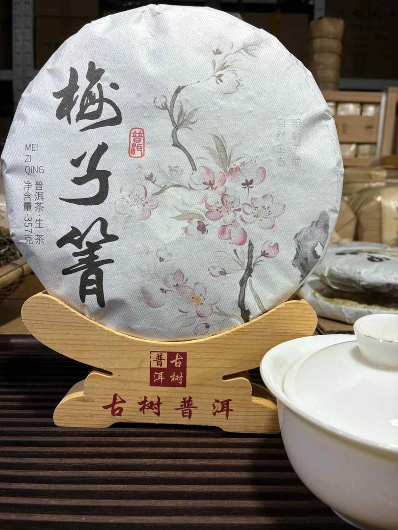 357克【梅子箐大树】2025年春茶（上下播一个价）