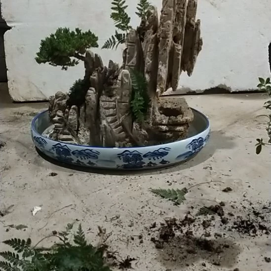 奇***吸水石绿植盆景假山