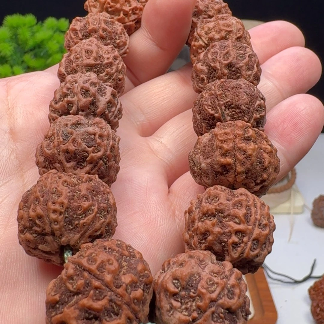 金刚菩提手串安娜老籽蜂窝双龙