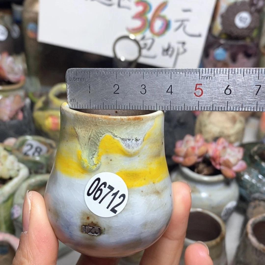 花盆拍5送一个小礼物