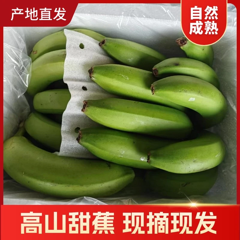 广西高山甜香蕉新鲜水果当季现摘大芭蕉小米蕉甜香蕉整箱自然熟