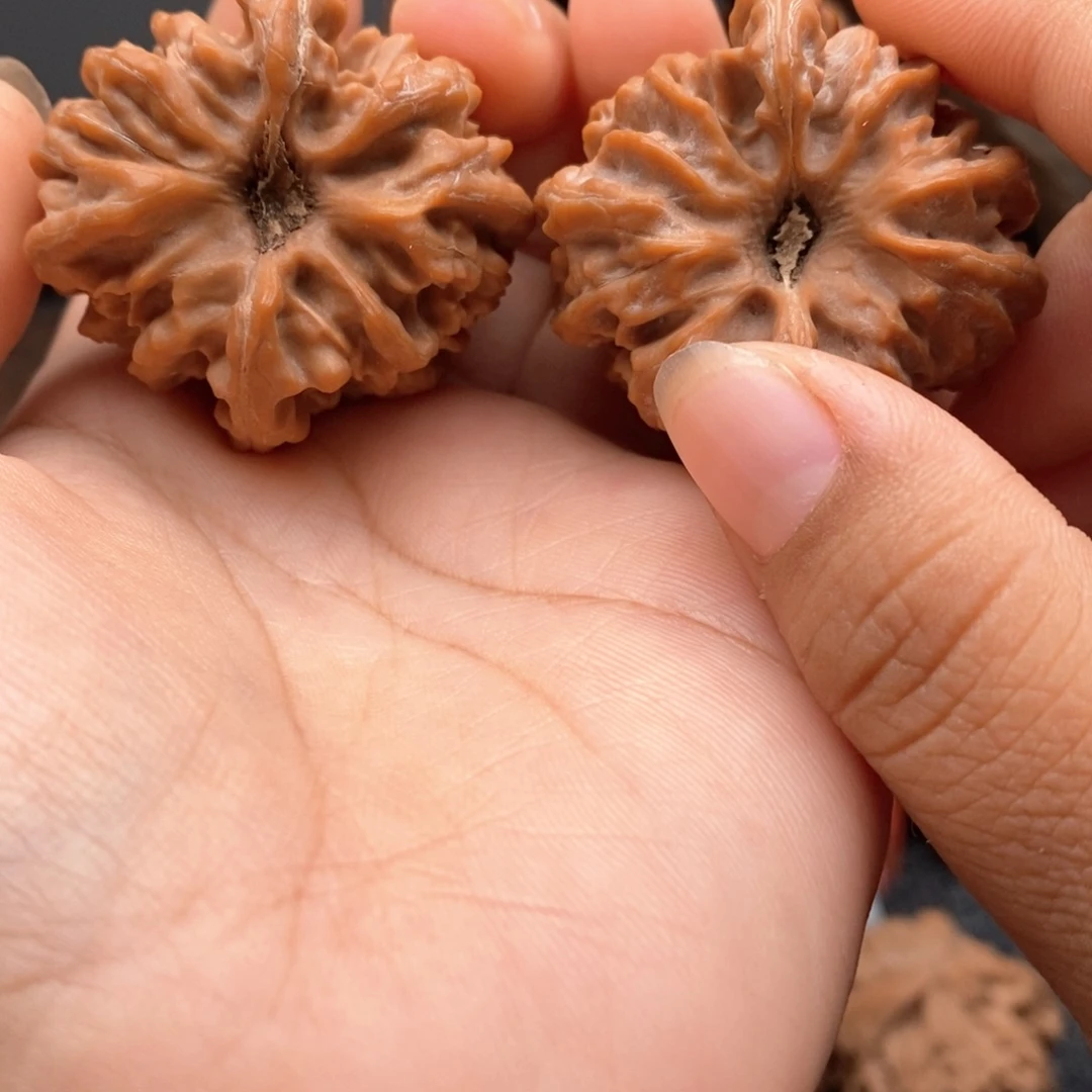 大***虎文玩核桃把件1111111111111