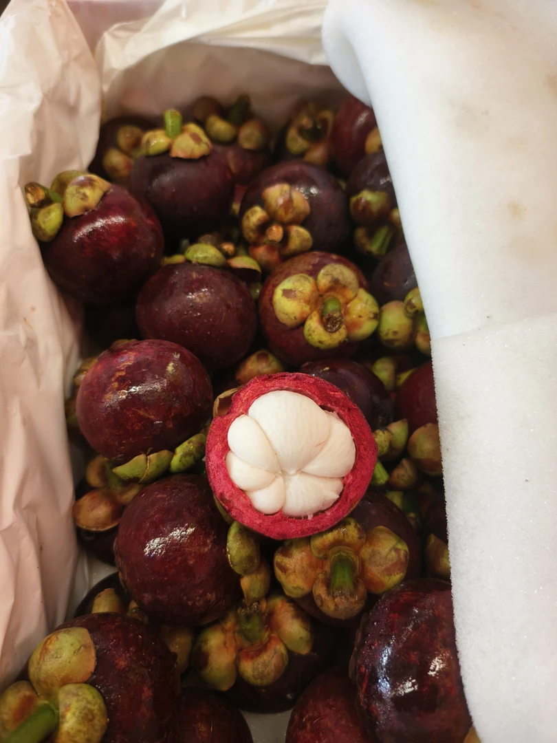 【九鼎直发】3A泰国进口老树山竹口感超棒