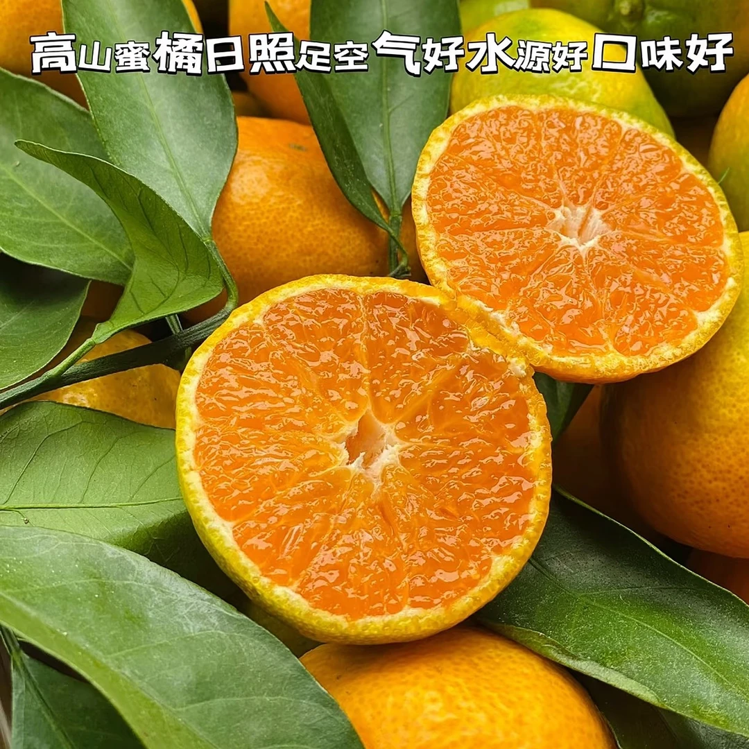 【众彩甄选】福建“红土高山蜜橘”无籽多汁 散称3/5斤