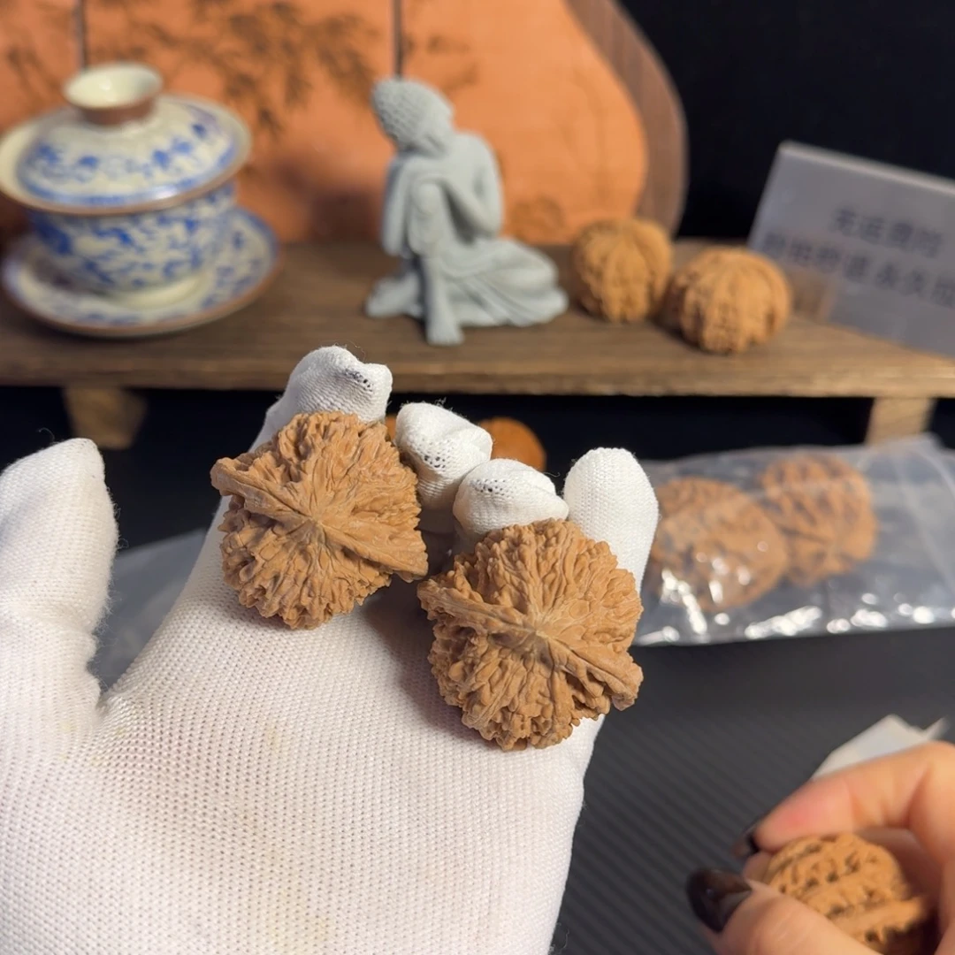 全品42满天星红皮白茬