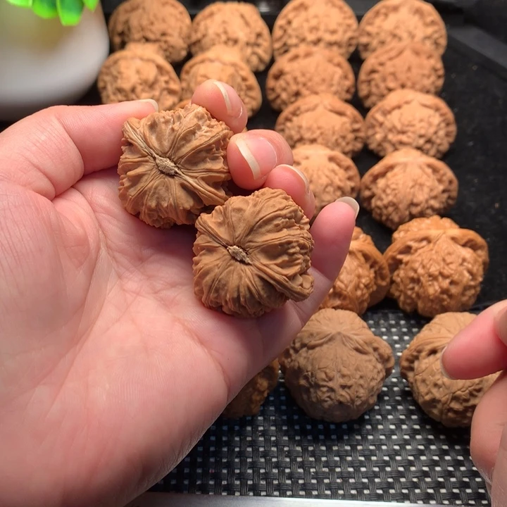 文玩核桃把件38白狮子