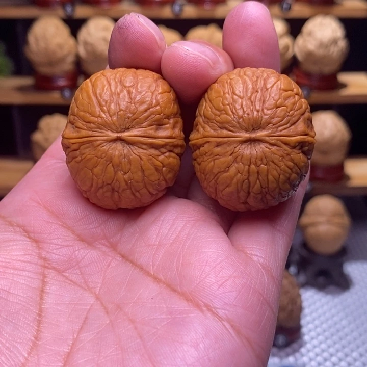 木质类云铁落宝58号