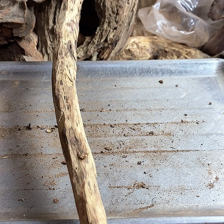 黄花梨/降香黄檀唐*芦