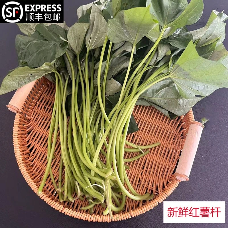 顺丰安徽无为特产红薯杆子新鲜红薯梗地瓜梗青苕梗茎番薯藤现摘