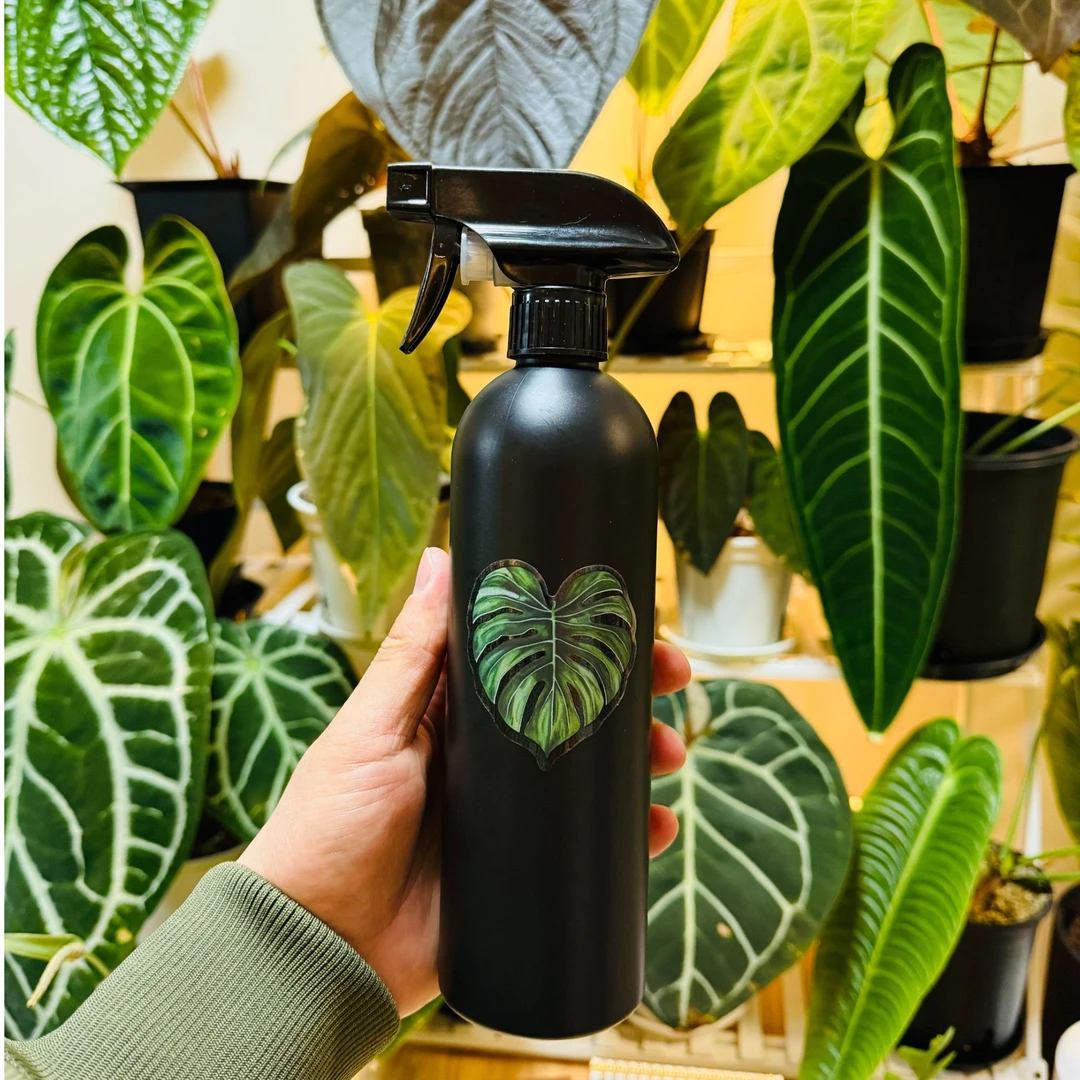 HOWLFOREST|高颜值植物喷壶小型喷雾瓶超细雾状空瓶子500ml
