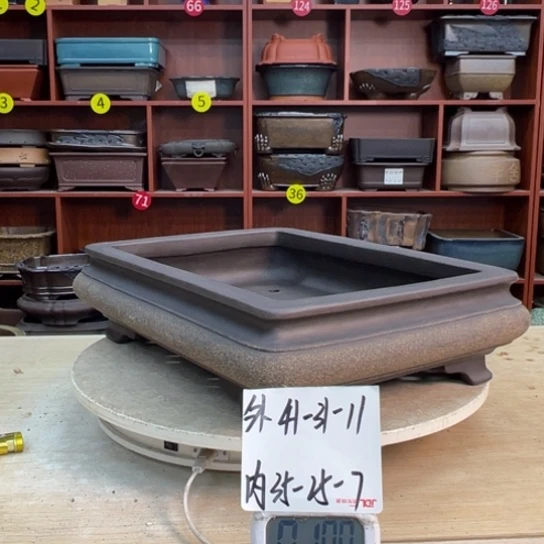 探***爷紫砂花盆中香气飘扬