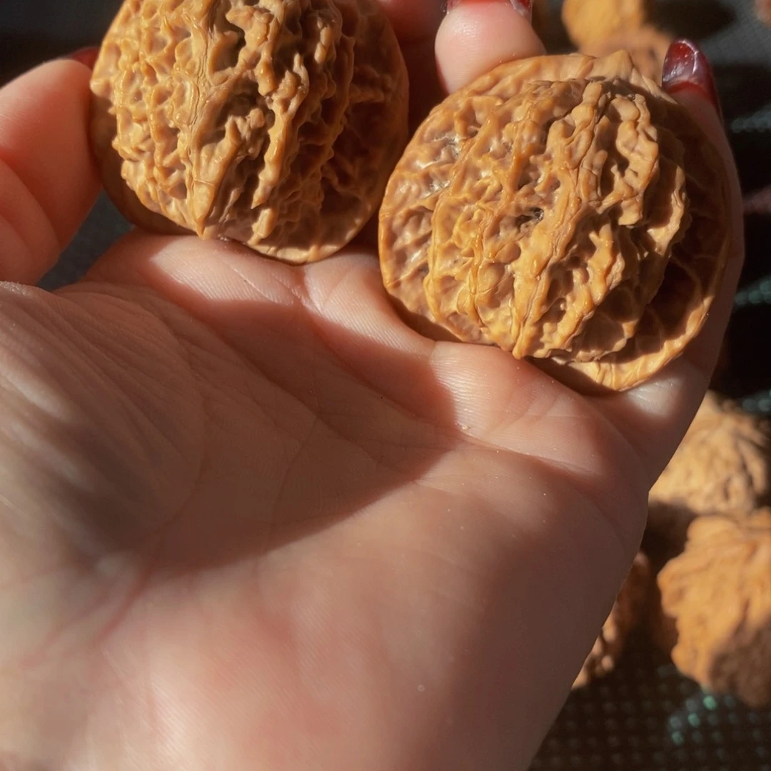 文玩核桃蟠龙纹核桃