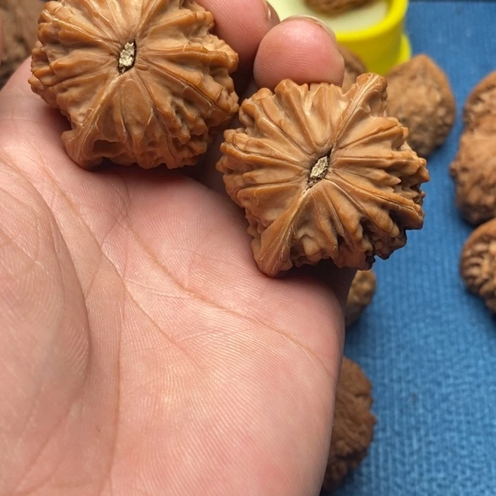 手串/手链核桃磨盘狮子头42有点有点水尖