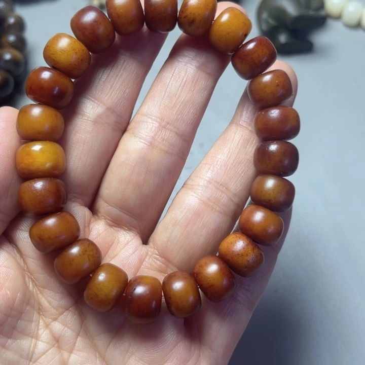 大果紫檀（缅甸花梨）