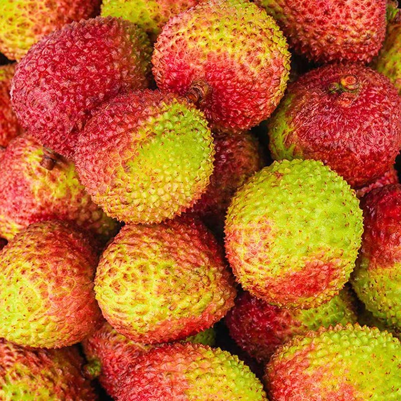 三宝爸甄选桂味荔枝连箱8.5斤左右荔枝同城送江苏省