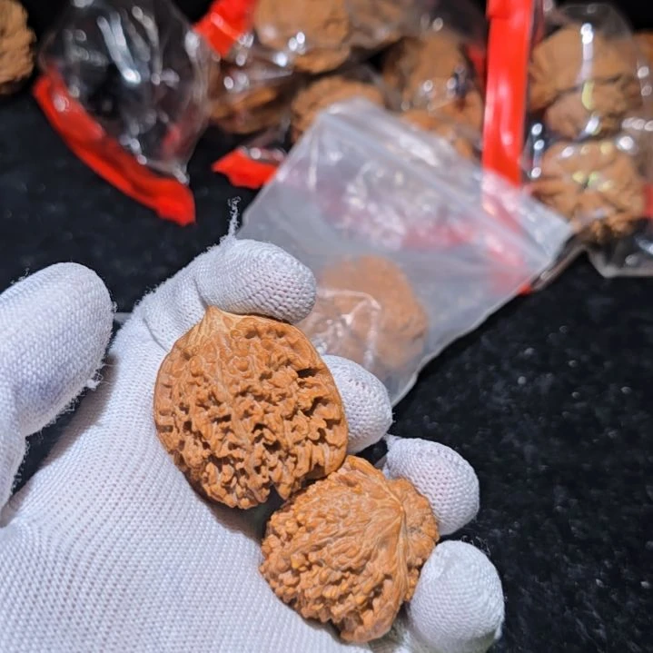 核桃哈哈哈哈哈嘿嘿嘿